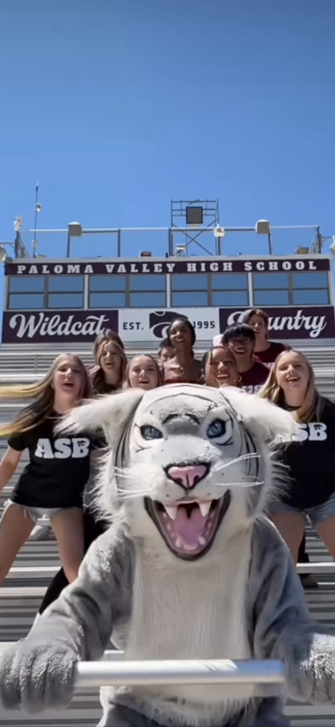 Paloma Valley High School ASB students and wildcat mascot in the bleachers